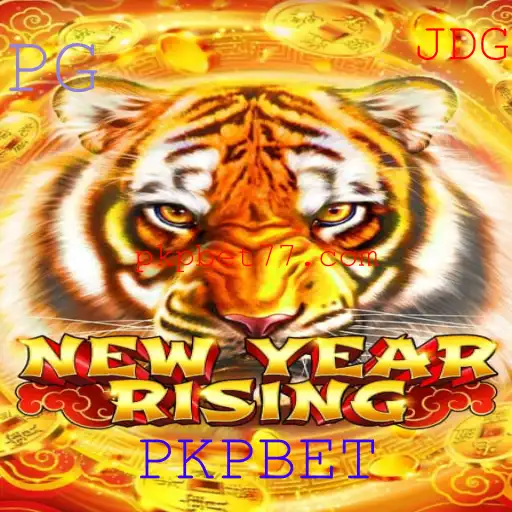 Descubra o Empolgante Mundo de NewYearRising